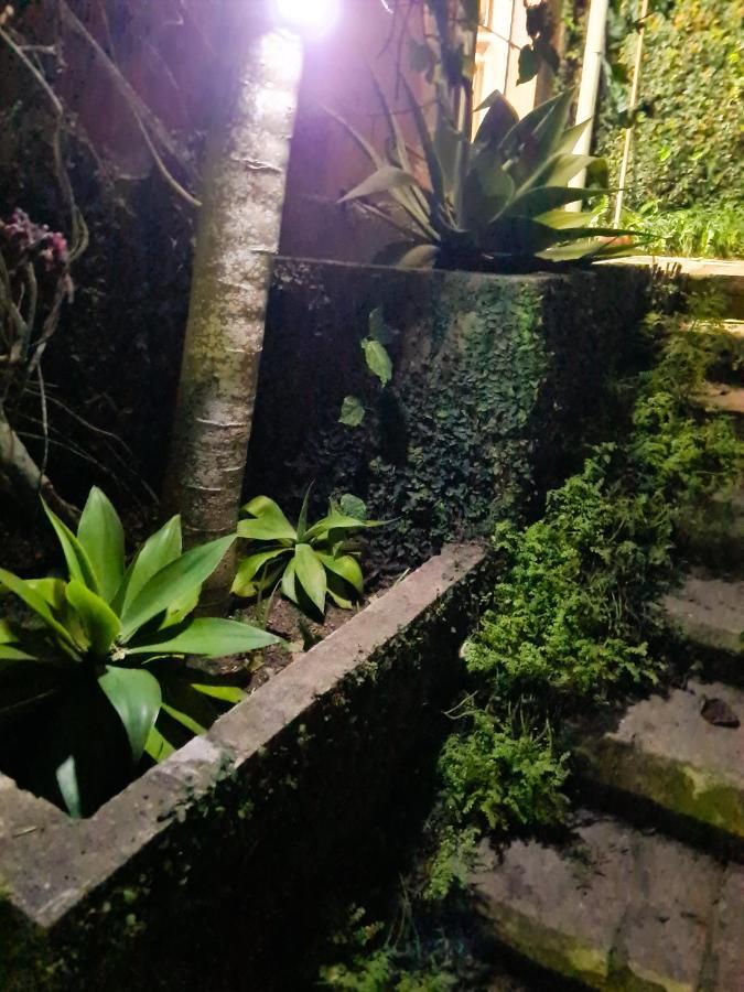 Villa Violeta Petropolis  Luaran gambar