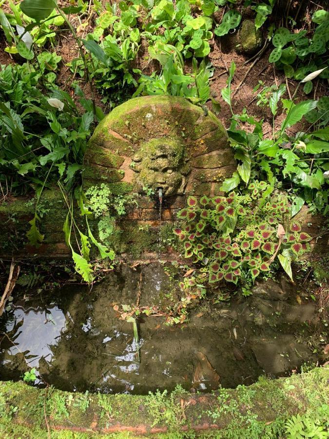 Villa Violeta Petropolis  Luaran gambar