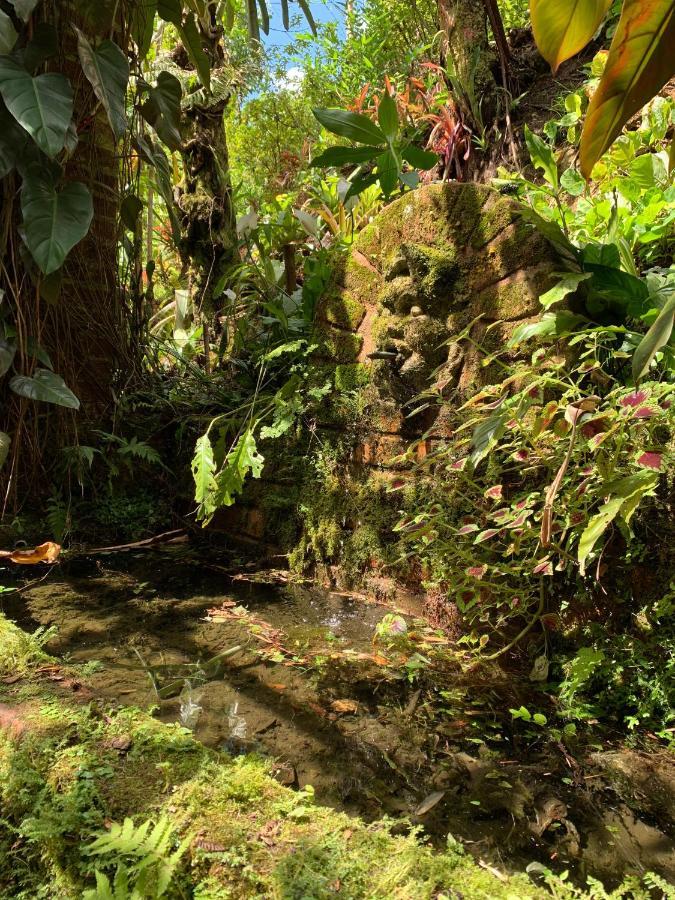 Villa Violeta Petropolis  Luaran gambar