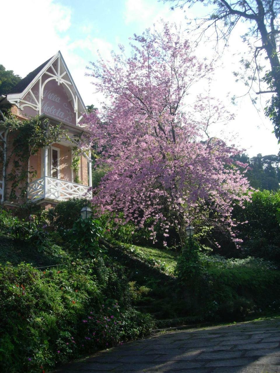 Villa Violeta Petropolis  Luaran gambar